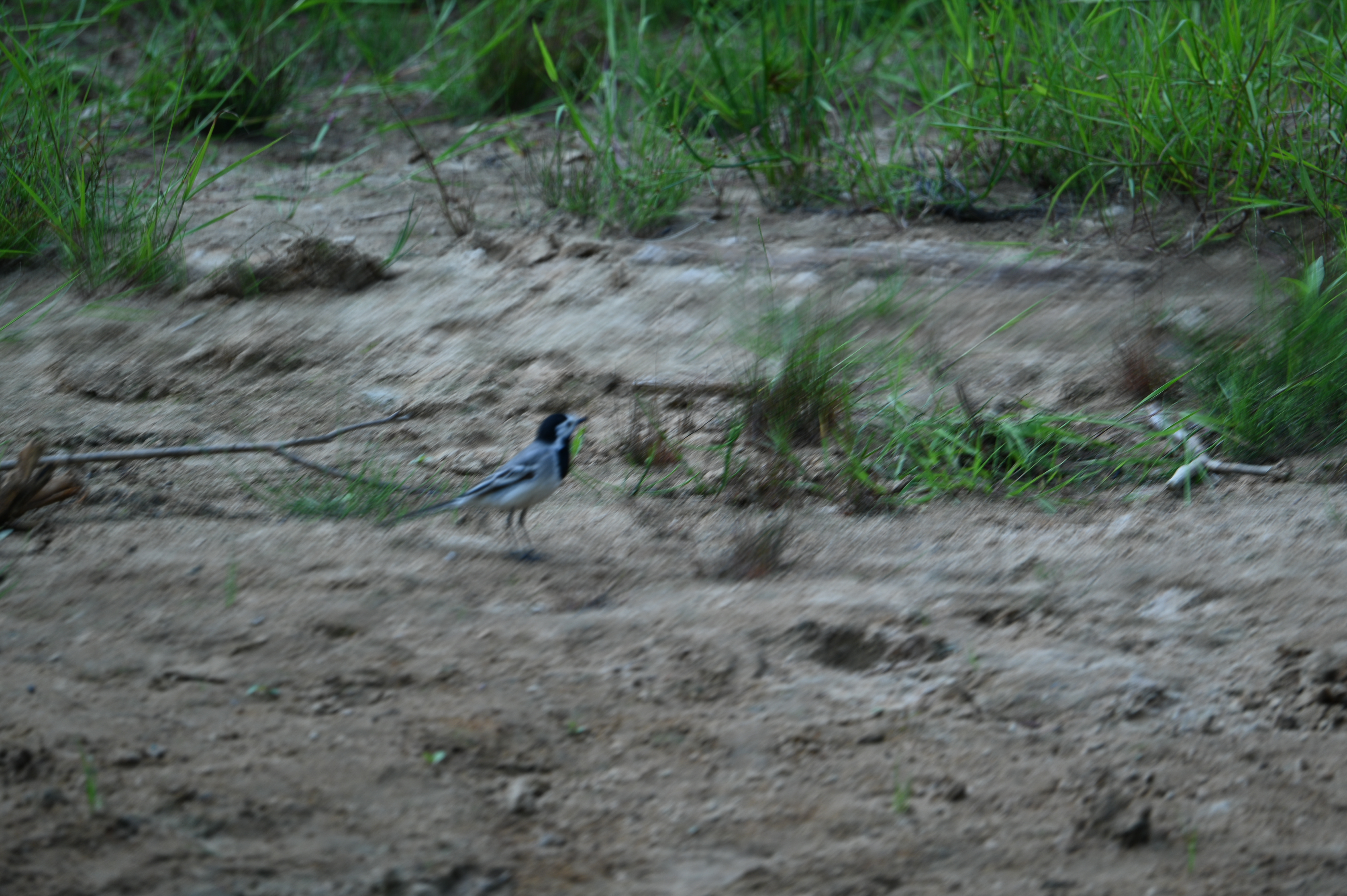 2025/07/09-14 - trip/DSC_0352.JPG